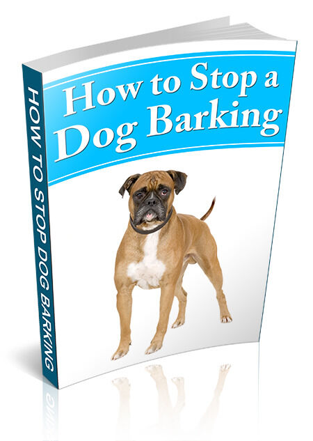 eCover representing How To Stop A Dog Barking eBooks & Reports with Master Resell Rights