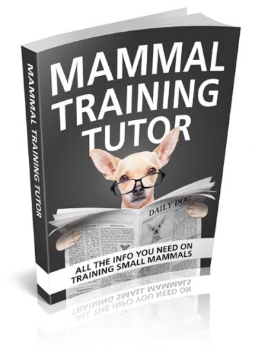 eCover representing Mammal Training Tutor eBooks & Reports with Master Resell Rights